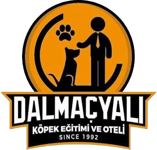 logo-dalmacyali2.png